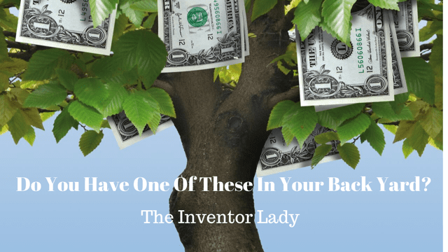 Inventors don't have a money tree.